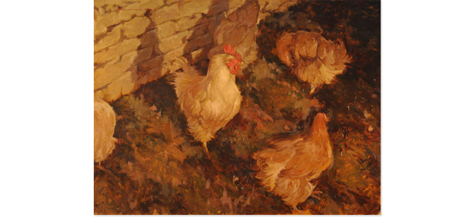 Galway Country Chickens